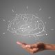 brain
